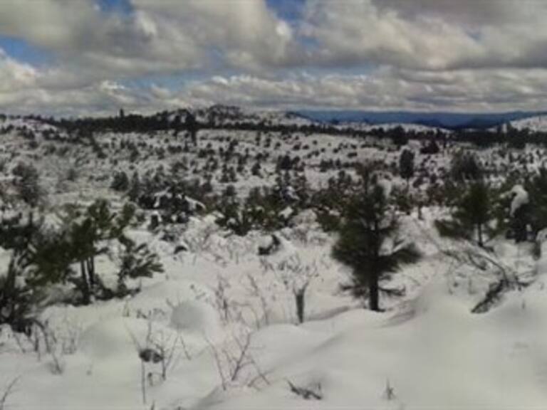 Se registran nevadas en 8 municipios de Durango