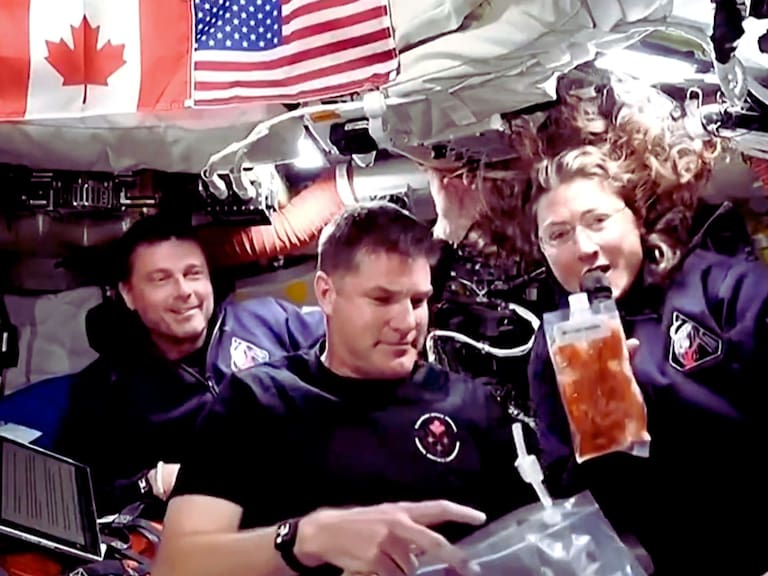 La Misión Artemis incluirá platillos como camarones y pasta. NASA