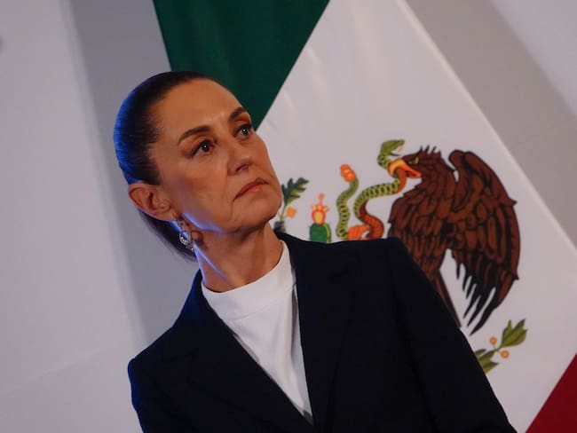 Peligroso que Sheinbaum ignore suspensión contra reforma judicial: Javier Martin Reyes