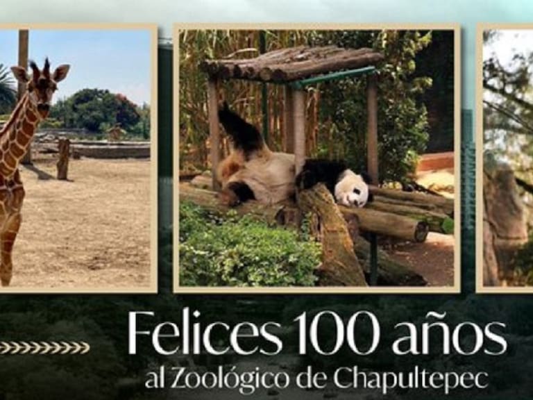 ¡Feliz cumpleaños Zoológico de Chapultepec!