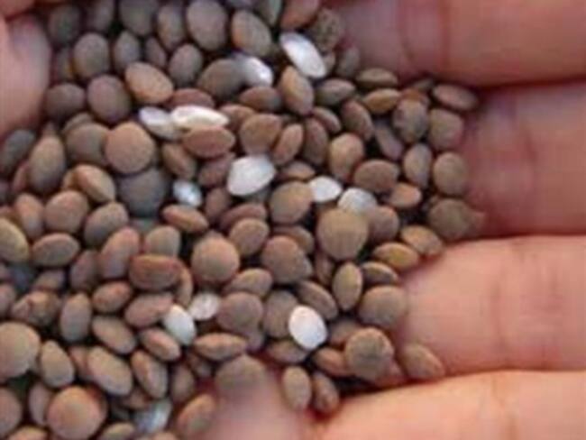 Alimentos rituales.'Para hacer hambre' con Inés Saavedra