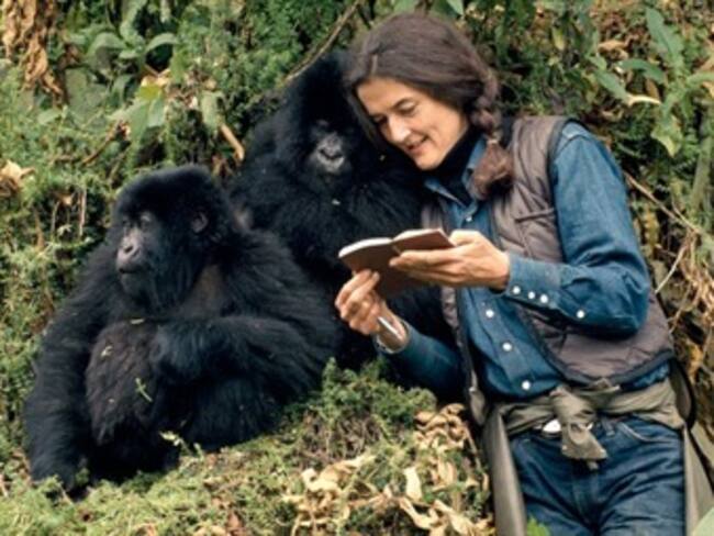 ¿Quién es la zoólogo, Dian Fossey? 'La Reata' te cuenta los detalles