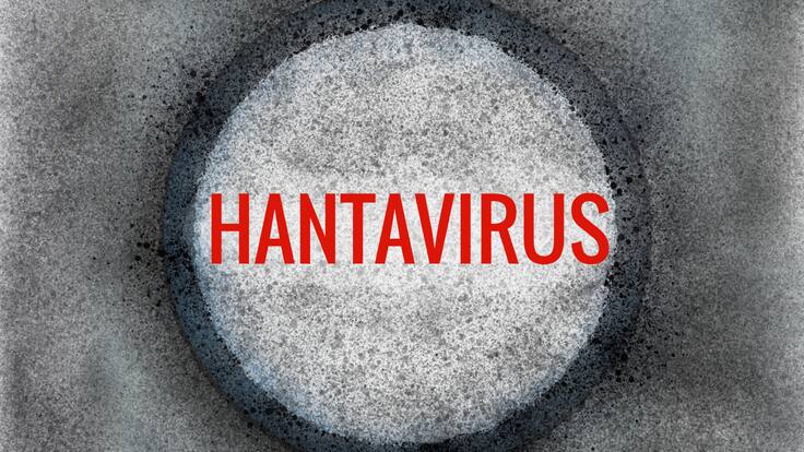 Hantavirus vs COVID-19: cuáles son las diferencias y si podría convertirse en pandemia