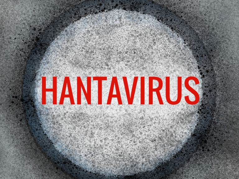 Hantavirus vs COVID-19: cuáles son las diferencias y cuál es más peligroso