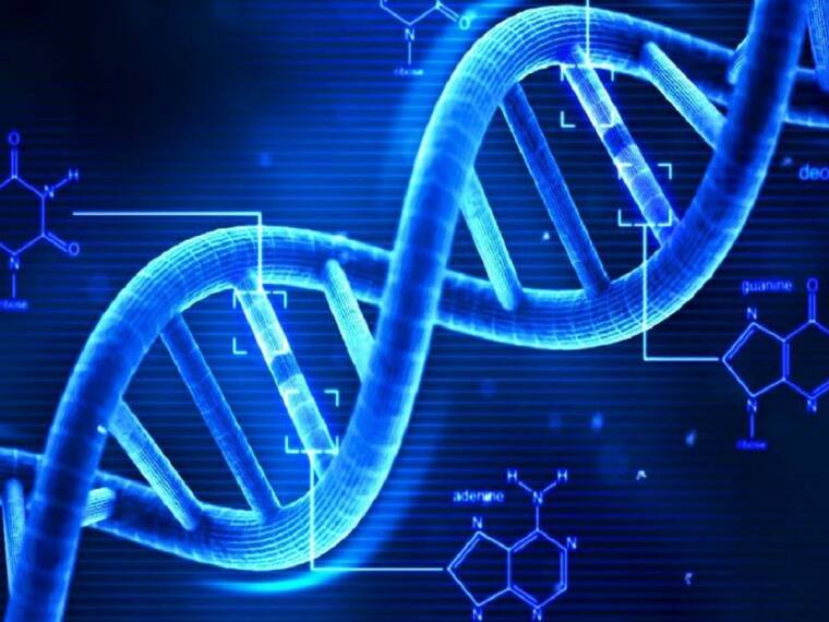En un, dos, tres el ABC del DNA