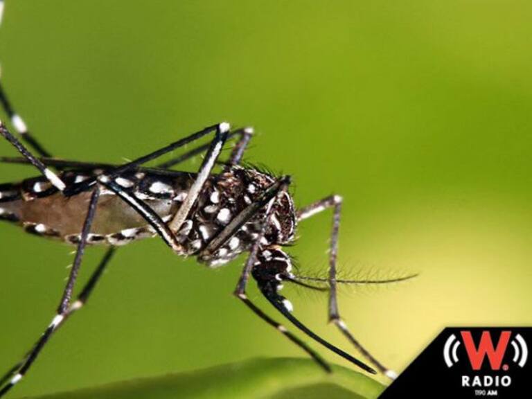 Secretaría de Salud invita a tomar medidas preventivas contra Zika, Dengue y Chikungunya