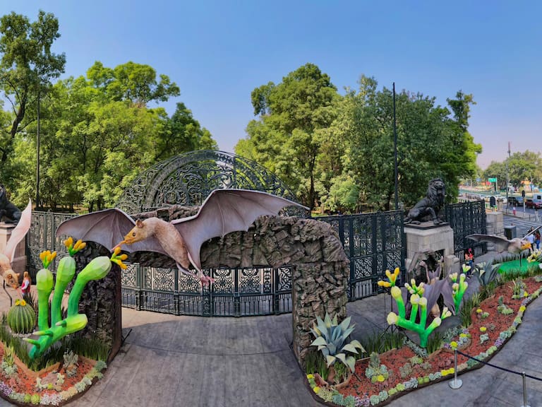 ¿Te gustan los murciélagos? El Bosque de Chapultepec los acerca a ti