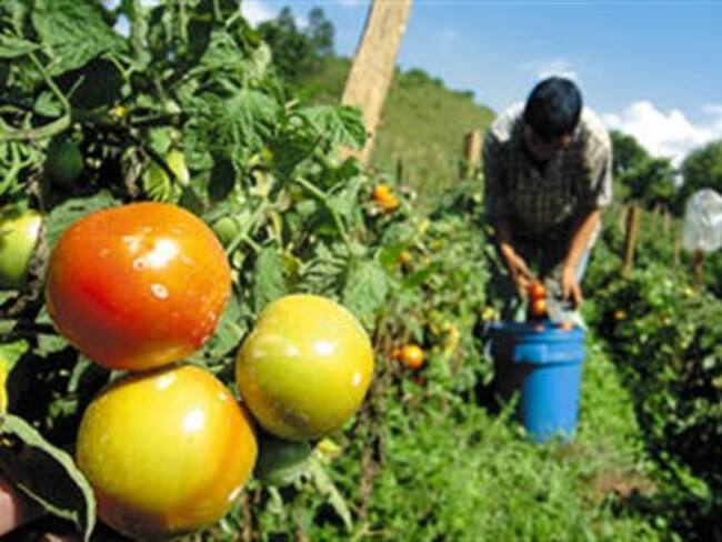 Tensión en zona agrícola venezolana por orden oficial de expropiar tierras