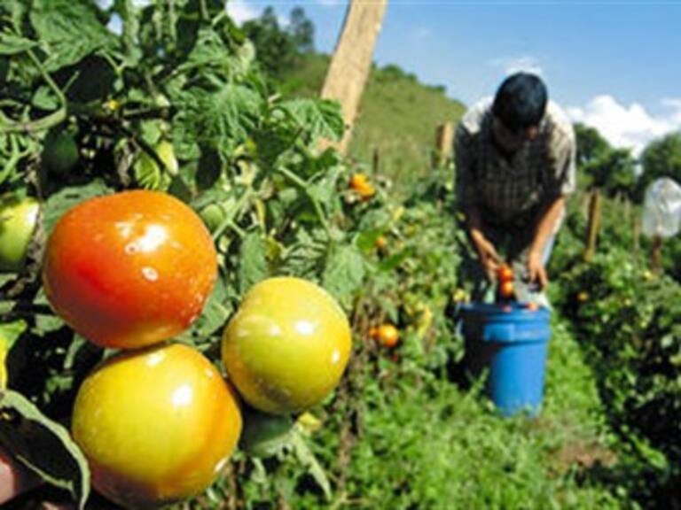 Tensión en zona agrícola venezolana por orden oficial de expropiar tierras