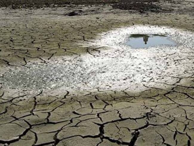 Permitirán lluvias en Tamaulipas siembra de 880 mil hectáreas