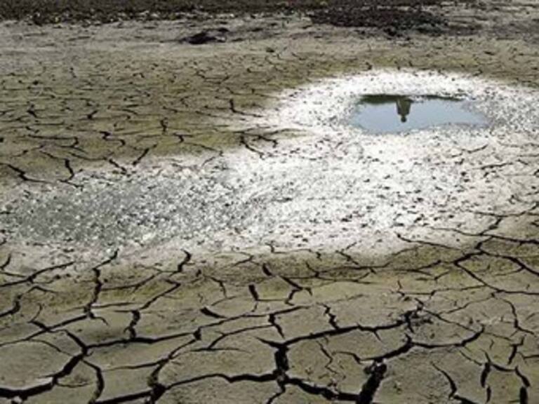 Permitirán lluvias en Tamaulipas siembra de 880 mil hectáreas