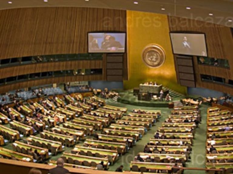 Admite ONU retroceso en lucha mundial contra drogas