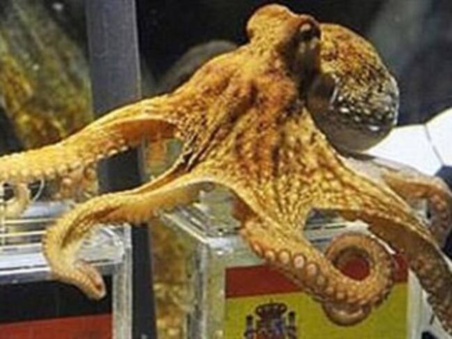 Presentan monumento del Pulpo Paul