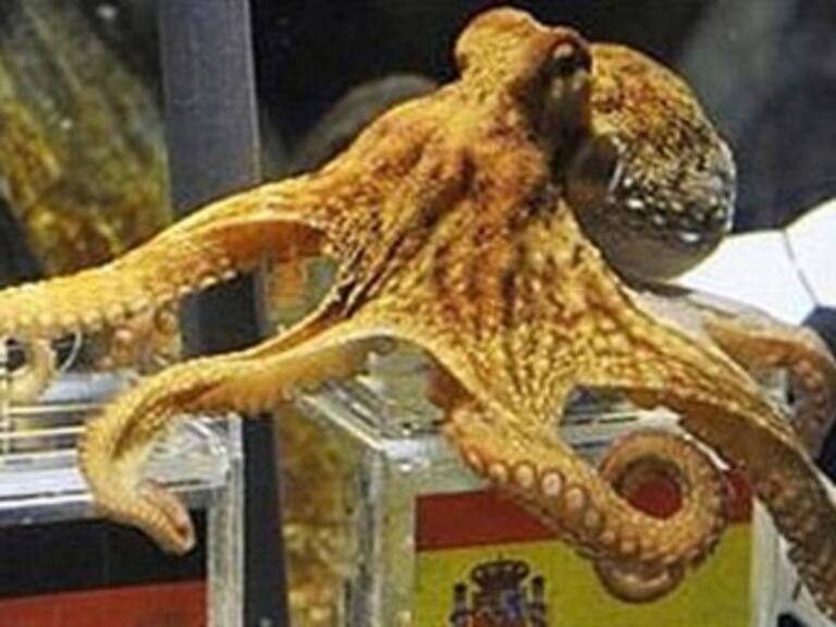 Presentan monumento del Pulpo Paul