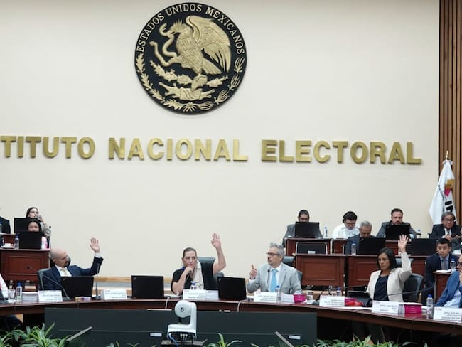INE rechaza a Flavio Cienfuegos como Secretario Ejecutivo