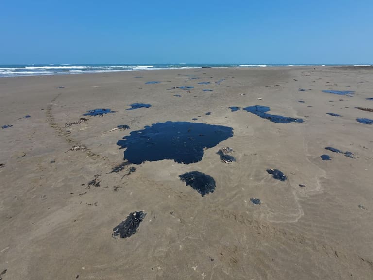 Greenpeace señaló que el derrame de petróleo se extiende en Tamiahua, Tuxpan, y Cazones