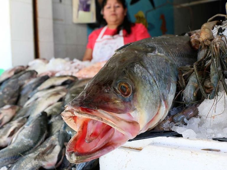 ¿Cómo comprar pescado y marisco fresco?