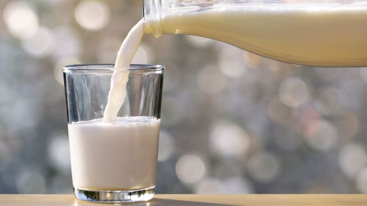Día Mundial de la Leche. Sader convoca a fomentar el consumo de este lácteo