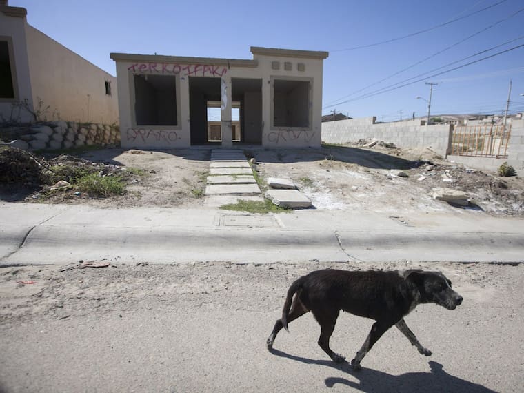 ¿Qué implica que el Infonavit dé créditos y facilidades a los invasores para que puedan adquirir una vivienda?