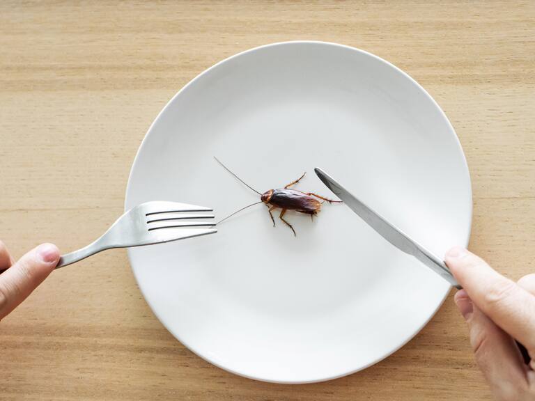 Comensales pueden hacer estafas montando insectos u otros objetos, buscando comer gratis