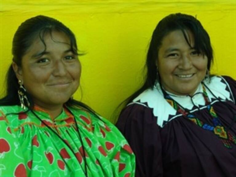 Teme AI injusticia contra mujeres indígenas