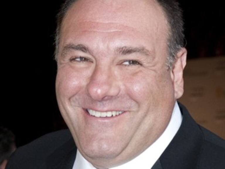 Gandolfini deja casi toda su fortuna a su hijo