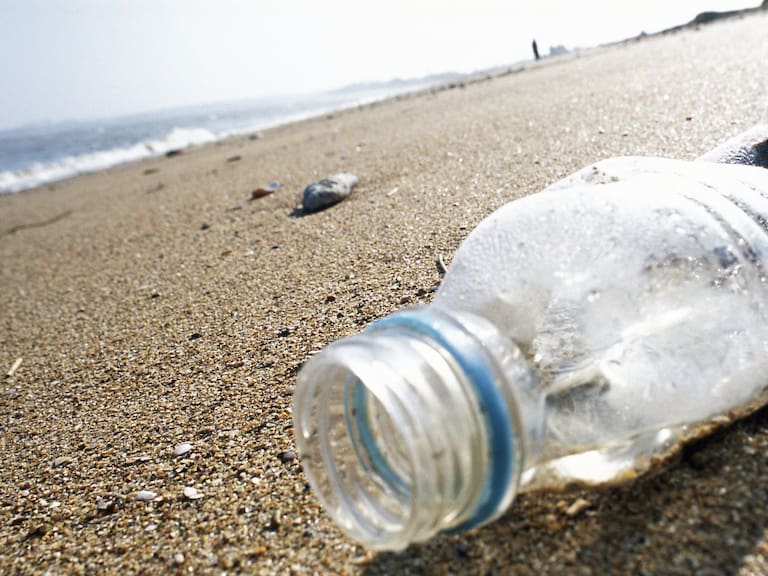 Más de 600 buzos rompen récord mundial al limpiar una playa