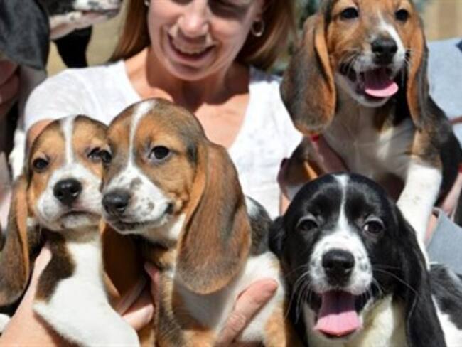 Esta pequeña de 3 años es todo un 'As' tras el volante