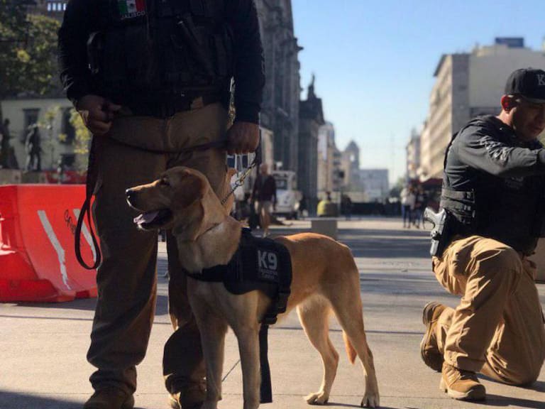 De la calle a policías: así los perros rescatados en Guadalajara