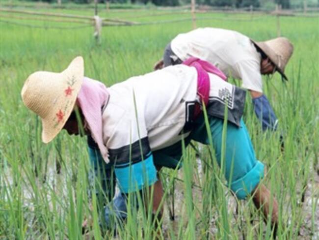 Esperan campesinos de Nuevo Laredo apoyos para producción