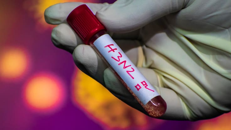 Martha Debayle: Todo lo que debes saber de la “Súper gripe” H3N2