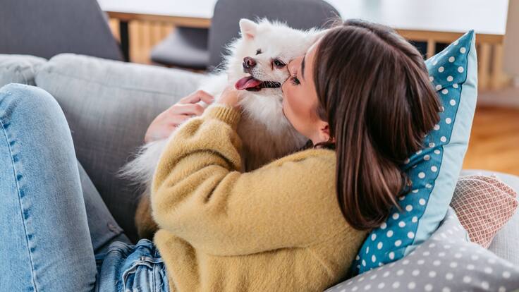 Vivienda en CDMX: Llega la reforma a la Ley de Vivienda y ya no te podrán negar rentar con mascotas