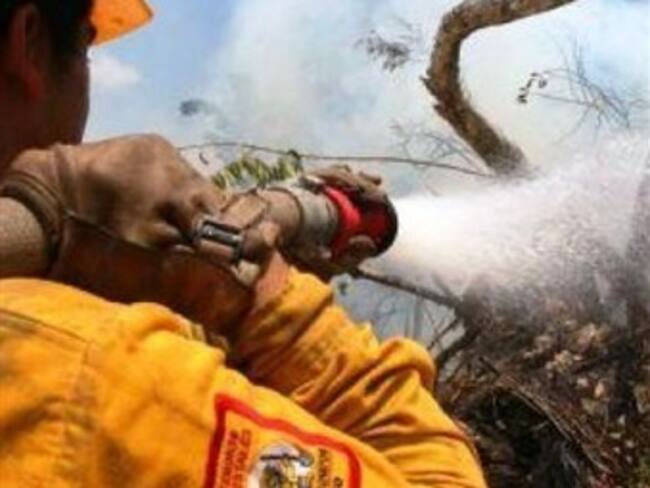 Sofocan 44 incendios en QRoo; quedan 10 activos