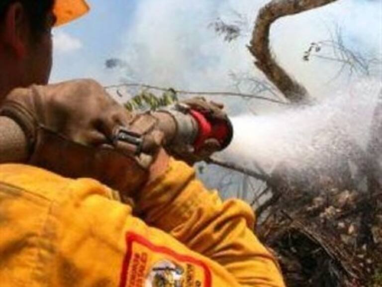 Sofocan 44 incendios en QRoo; quedan 10 activos