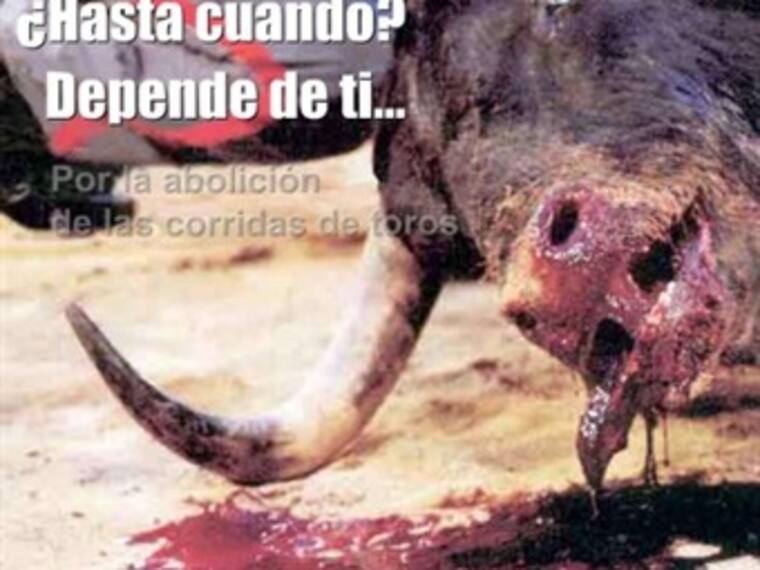 Abolición de las corridas de Toros'El Reino Animal',con Marielena Hoyo