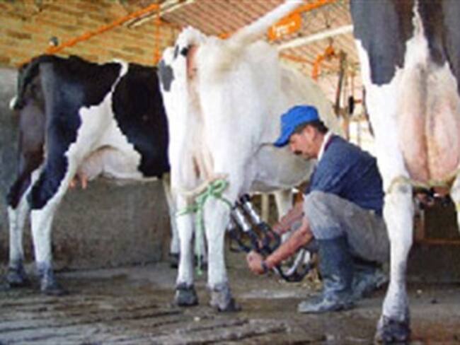 Protestan productores de leche en Francia
