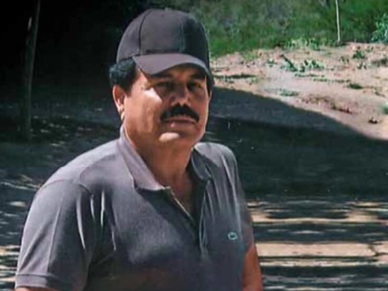 En 2010, Ismael "Mayo" Zambada fue entrevistado en Sinaloa por el fundador del diario Proceso, Julio Scherer García.