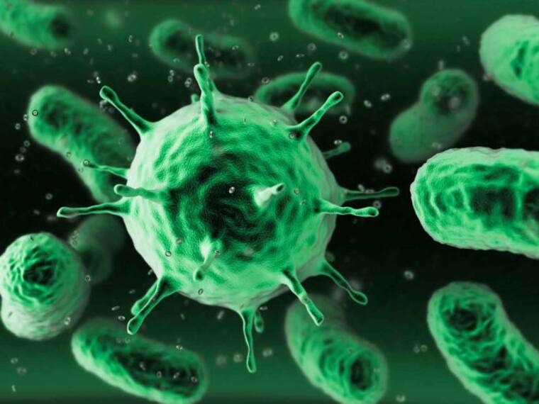 #AsíSopitas: Científicos revelan las bacterias más peligrosas en el mundo