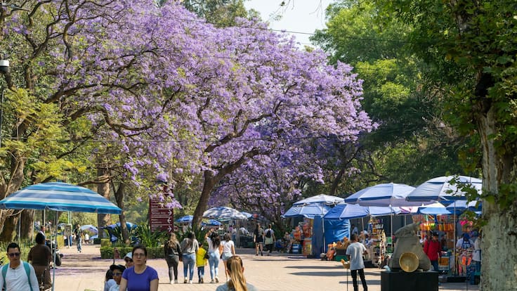 Equinoccio 2026: revelan el día exacto en que comenzará la primavera en México