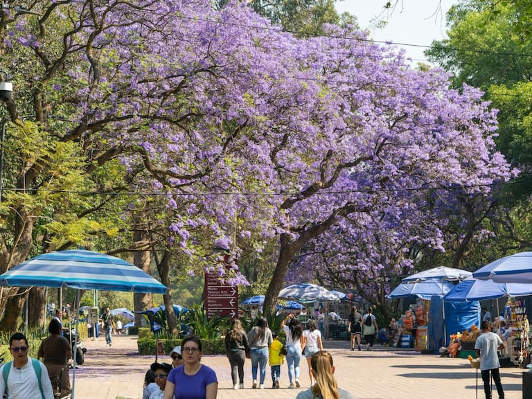 Equinoccio 2026: el momento exacto en que comenzará la primavera en México. Getty Images