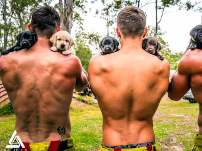 Bomberos australianos posan semidesnudos para calendario benéfico