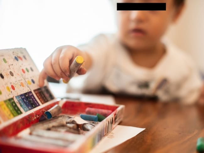 Diputada PVEM propone que sea obligatoria la educación inicial en el país