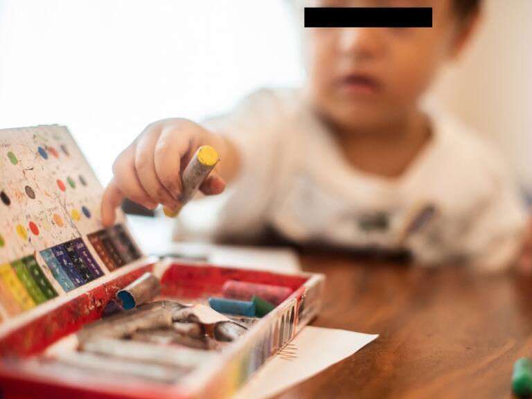 Diputada PVEM propone que sea obligatoria la educación inicial en el país