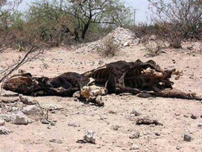 Atiende Semarnat sequía en Nayarit