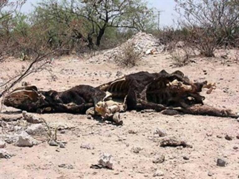 Atiende Semarnat sequía en Nayarit