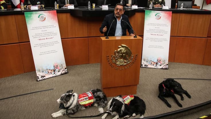 ¡Que perra sesión!, en el Senado homenajean a perritos rescatistas