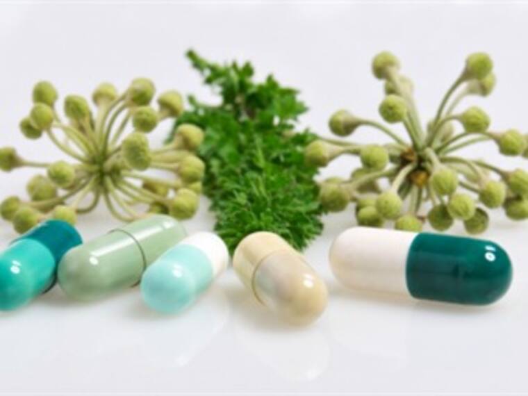 Usos de Plantas medicinales y sus efectos en el cerebro. Erik Estrada, biólogo