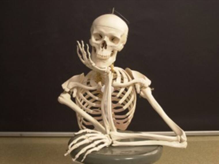 ¿Estoy con un narcisista?