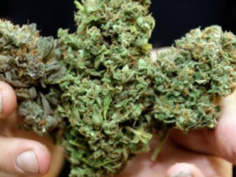 SCJN decidirá si se legaliza o no el uso "lúdico" de la marihuana