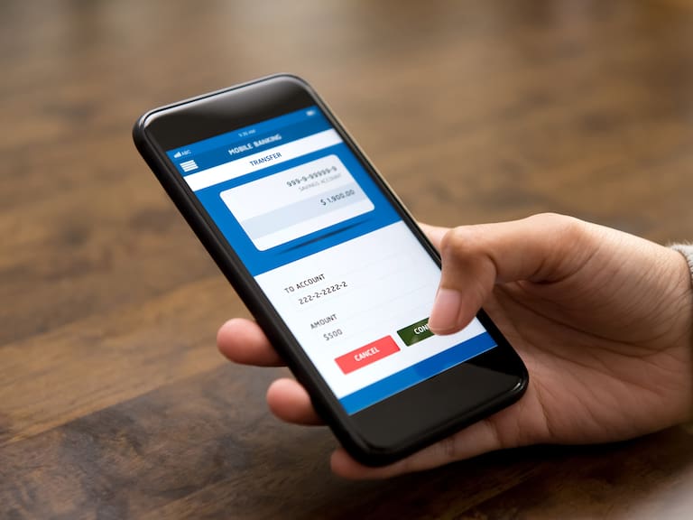 Conoce los conceptos que sí y los que no debes poner al hacer transferencias de dinero para evitar problemas con el SAT.